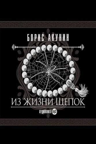 Из жизни щепок - Борис Акунин