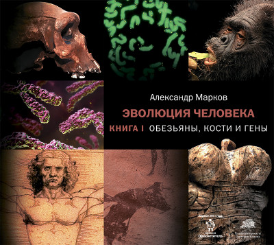 Эволюция человека. Книга 1. Обезьяны, кости и гены