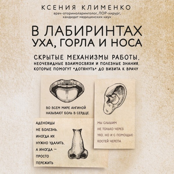 В лабиринтах уха, горла и носа. Скрытые механизмы работы, неочевидные взаимосвязи и полезные знания, которые помогут дотянуть до визита к врачу