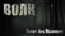 Волк - Ира Малинник