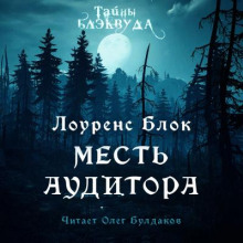 Месть аудитора - Лоуренс Блок