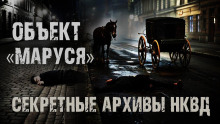 Секретные архивы НКВД. Объект "Маруся" - Максим Никитин