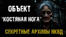 Секретные архивы НКВД. Объект "Костяная нога" - Максим Никитин