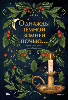 Однажды тёмной зимней ночью… - Элизабет Макнил