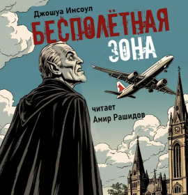 Бесполётная зона - Джошуа Инсоул