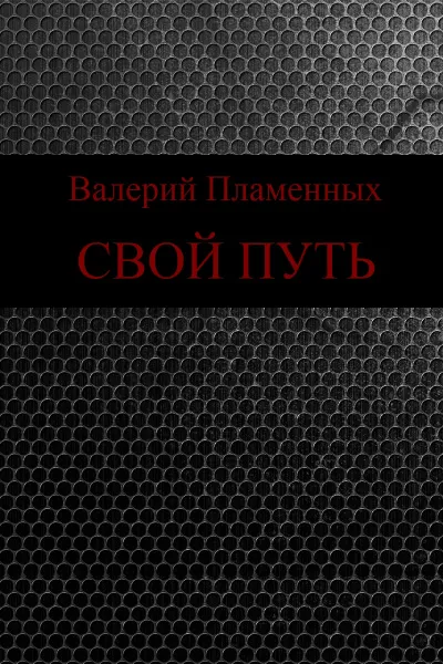 Свой Путь - Валерий Пламенных